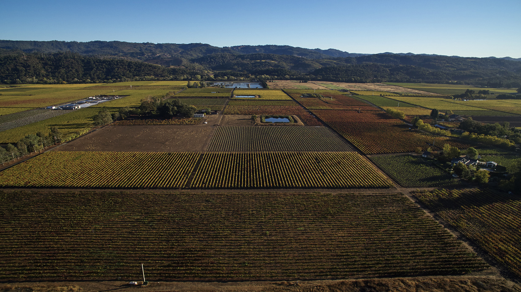 DJI_0063_LightspeedFilms