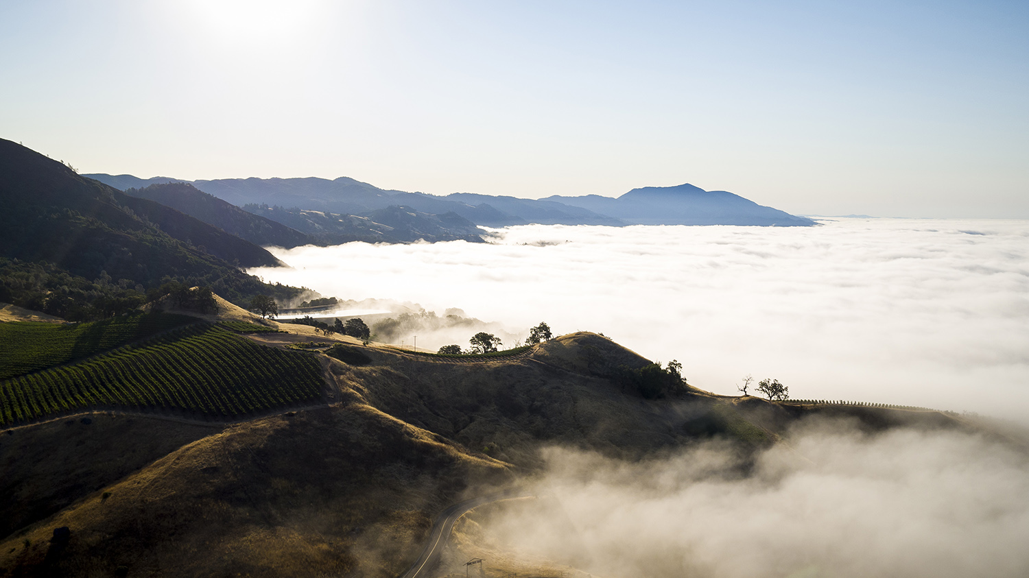 DJI_0617_LightspeedFilms