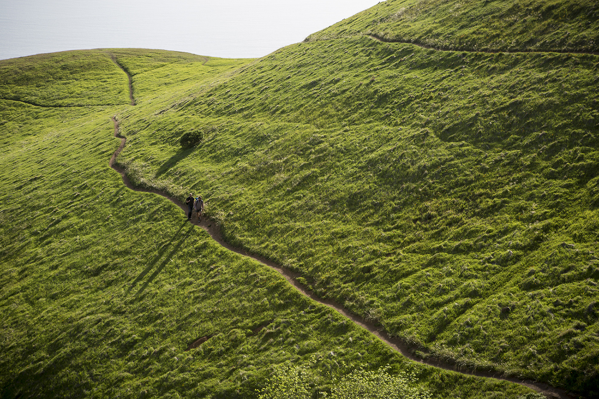 MT_073A9655_web